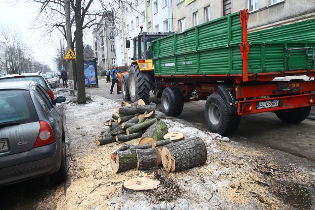 Wycinka drzew w pasie drogowym nie musi już być konsultowana z Regionalną Dyrekcja Ochrony Środowiska