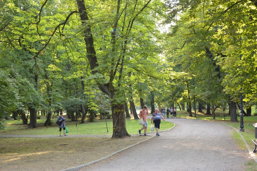 Wielicki Park Mickiewicza – o powierzchni 7,11 ha, założony...