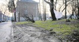 Nowohucki pejzaż po zimie: zgniłe liście i błotne koleiny na trawnikach