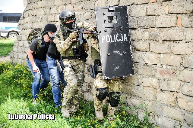 Scenariusz ćwiczeń zakładał, że dwóch zamaskowanych napastników napadło na kantor wymiany walut. Po brutalnej napaści na obsługę placówki, ze zrabowaną gotówką odjechali  autem. Policję powiadomił klient, który zaobserwował skrępowanego i pobitego mężczyznę. wideo: st. sierż. Mateusz Sławek / Policja LubuskaZainicjowano  alarm dla policjantów i wymianę informacji między nimi, utworzono posterunki blokadowe, ściągnięto przewodników psów tropiących, a grupa procesowa przystąpiła do dokładnych oględzin miejsca zdarzenia. Równolegle prowadzone działania właściwie wszystkich policyjnych komórek koordynowane były przez specjalistów ze sztabu.  Napastnicy kilkadziesiąt kilometrów od Gorzowa zostali osaczeni i zmuszeni do porzucenia pojazdu w lesie. Dalej salwowali się ucieczką pieszą. Ich zatrzymanie było zatem kwestią czasu. W akcie desperacji skryli się w opuszczonym budynku gospodarczym. Tu włączyli się doświadczeni negocjatorzy, którzy przekonywali napastników do pokojowego rozwiązania sytuacji. Z tej szansy jednak skorzystać nie zamierzali. Konieczne było zatem uruchomienie działań policyjnych sił kontrterrorystycznych. Spektakularne działania policjantów skutkowały zatrzymaniem napastników.Było to jedno z wielu ćwiczeń, które mają na celu doskonalenie procedur współdziałania sił policyjnych na wypadek realnego zagrożenia, doskonalenie technik negocjacyjnych czy prowadzenia działań ratunkowych.