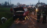 Wypadek w Jeleśni: Samochód w rowie. Są ranni [ZDJĘCIA]