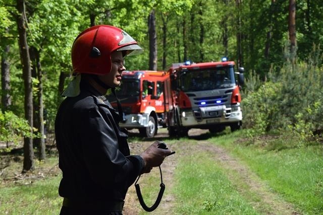 Strażacy z powiatu golubsko-dobrzyńskiego, brodnickiego...