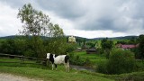 Podróż w czasie przez krainę Bojków [ZDJĘCIA]