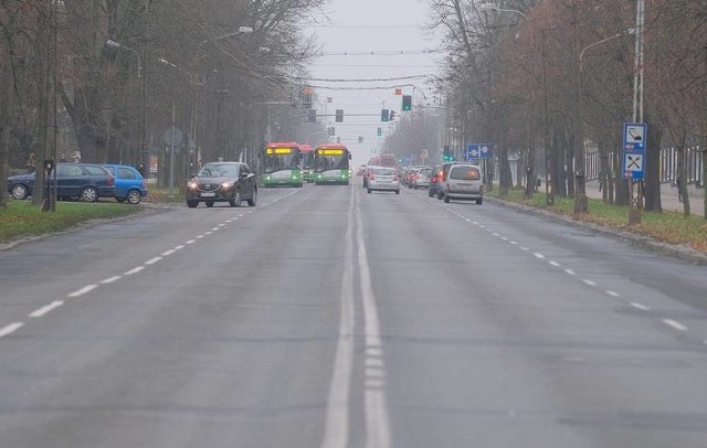 Rzeczniczka ratusza zapewnia, że planowana w związku z inwestycją wycinka drzew została zmniejszona do minimum. Autorów petycji to nie przekonuje