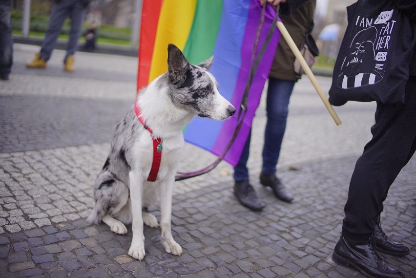 Przez Poznań przeszedł Marsz Równości [ZDJĘCIA]