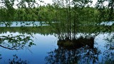 Rezerwat wodny Pełcznica, istny raj tuż za miedzą