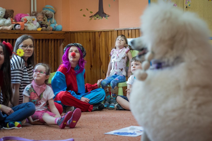 Wyszkolone czworonogi pomagają małym pacjentom szpitali. Dogoterapia na Pomorzu [zdjęcia, wideo]