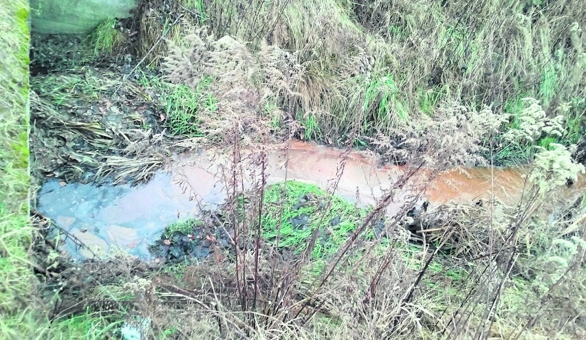 Ruda woda w w Żorach śmierdzi - mieszkańcy się skarżą. Czy to przez procesy naturalne?