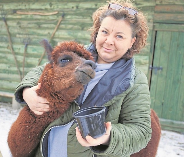 Ewa Godlewska-Jeneralska rzuciła pracę w Panoramie TVP 2, żeby w Czchowie hodować alpaki