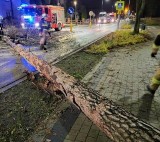 Mnóstwo interwencji strażaków w regionie radomskim.  Wiatr siał zgrozę. Przewrócone drzewa, uszkodzone samochody i linie energetyczne