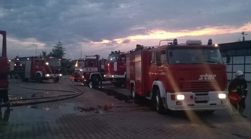 Pożar w Konstantynowie Łódzkim. Ktoś podpalił siłownię i hurtownię kwiatów [zdjęcia]