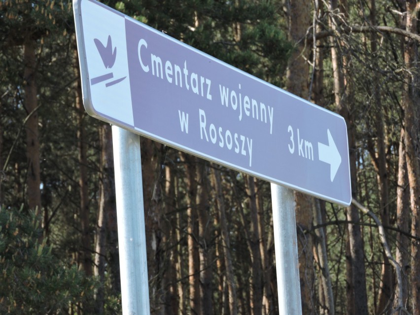 Odwiedź cmentarz wojenny w Rososzy [ZDJĘCIA]