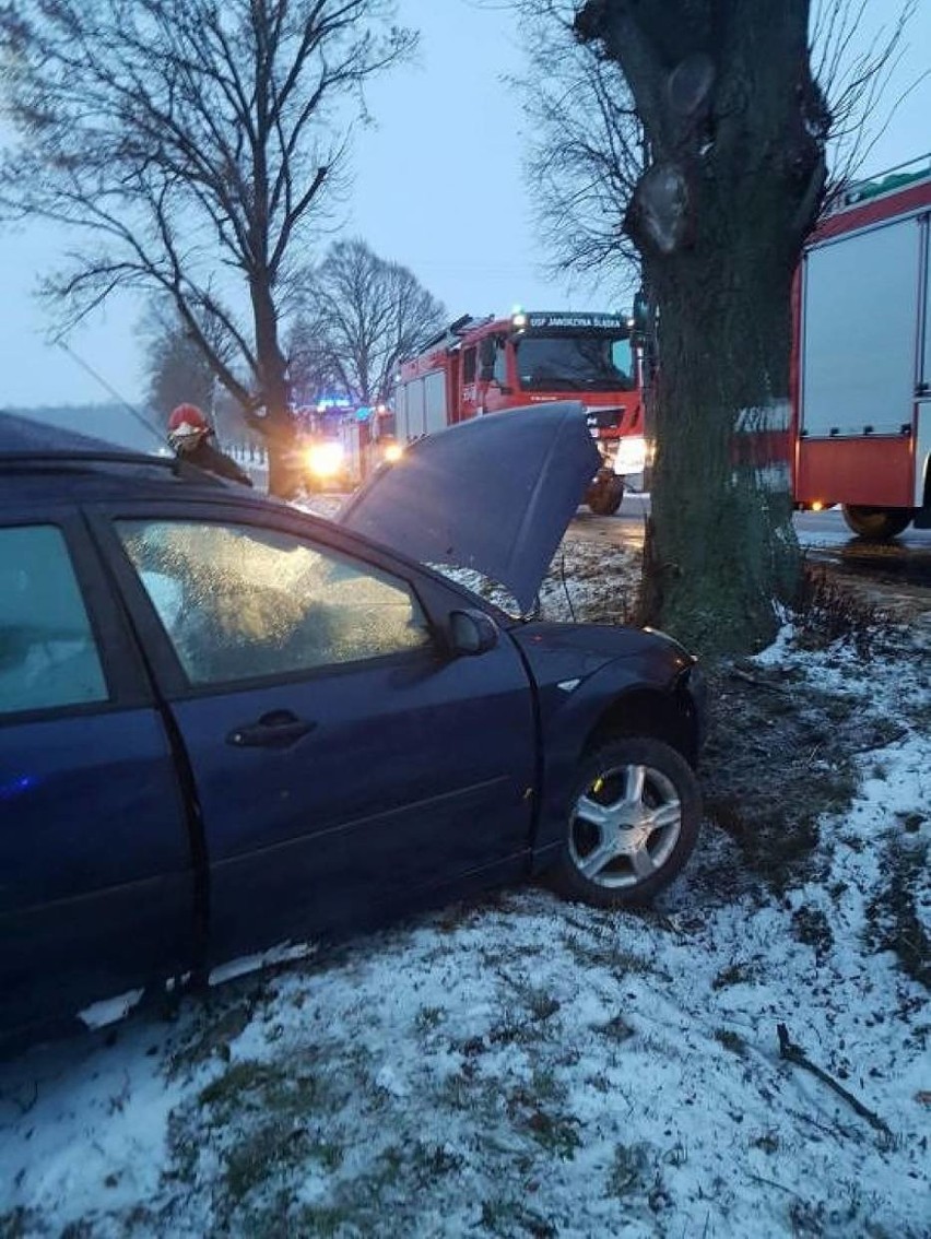 Śmiertelny wypadek pod Świdnicą. Auto wbiło się w drzewo (ZDJĘCIA)