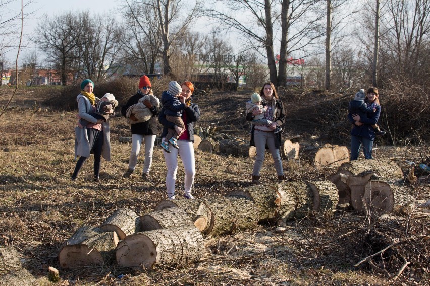 Karmią piersią i protestują na wyrębie