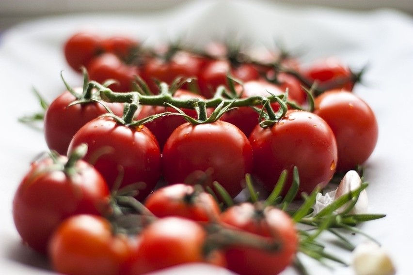 Pomidor. Na balkonach najczęściej uprawia się pomidory...