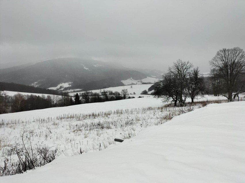 Śnieg w Bieszczadach.