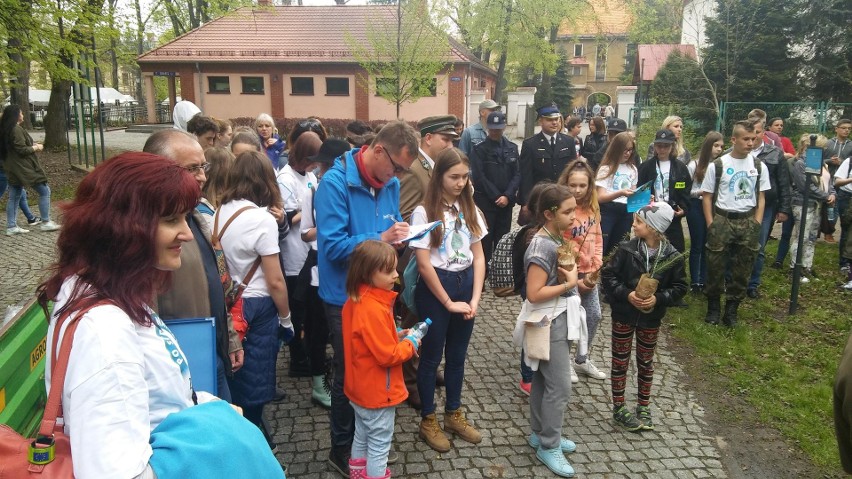 Piknik Po Stronie Natury w Żywcu. Atrakcje na rynku, a w parku sadzenie drzew ZDJĘCIA