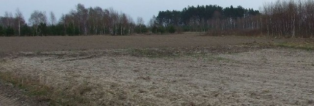 Ogromny kompleks fotowoltaiczny powstanie na tej działce w Kamionce koło Krzeszowa.