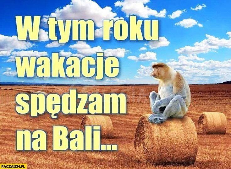 Plany na wakacje 2020 w dobie koronawiusa? Internauci mają...