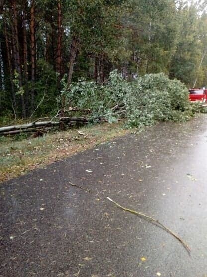 Wichura w Podlaskiem. Silny wiatr łamał drzewa. Na drogach doszło do wielu poważnych wypadków [ZDJĘCIA] 18.09.2019