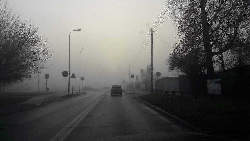 Gęsta mgła pojawiła się na Kujawach i Pomorzu już w...