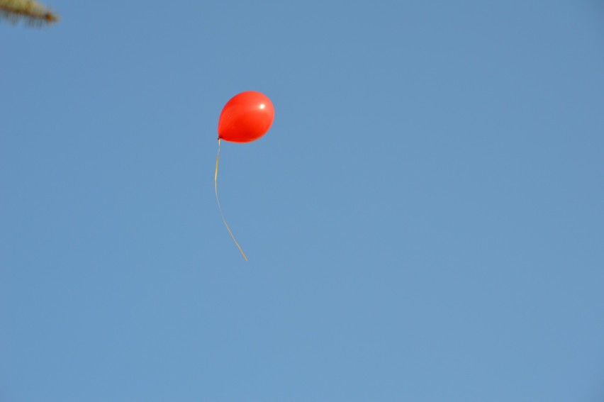 Balony z marzeniami odleciały w niebo. Fundacja "Pomóż Im" świętuje Dzień Dziecka z Chorobą Nowotworową [galeria]