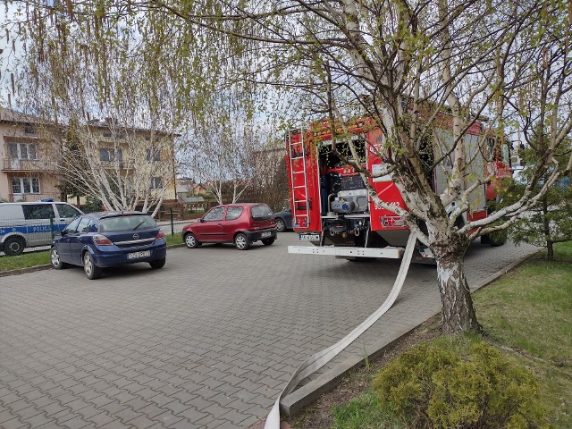 Podczas strażackiej akcji w szkole w Szewnie.