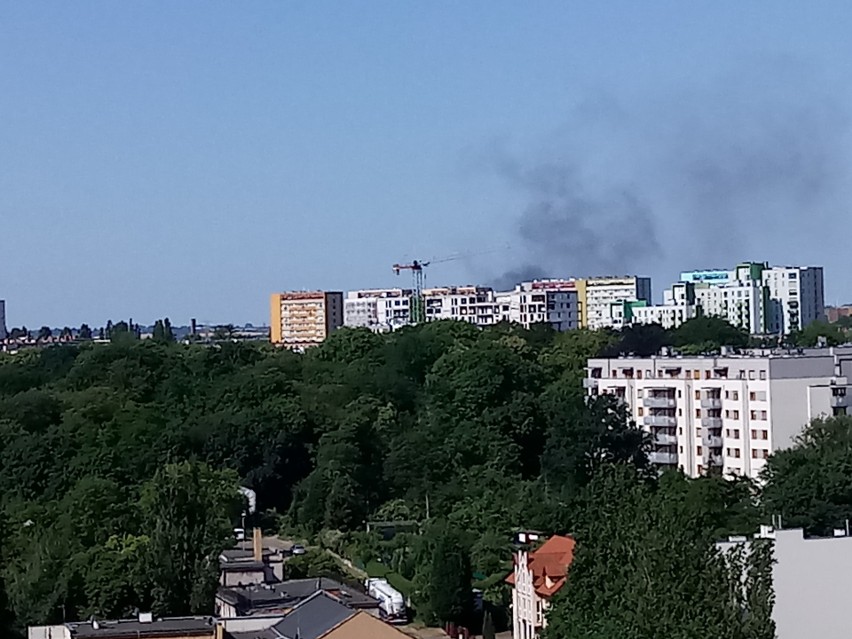 Dym nad południową częścią Szczecina. Paliły się odpady