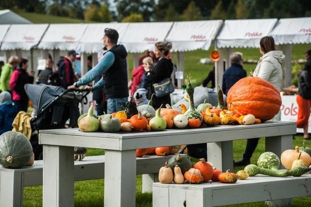 W niedzielę, 27 września, w godz. 11-15 w Ogrodach Hortulus Spectabilis w Dobrzycy odbędzie się III Dyniowe Garden Party.