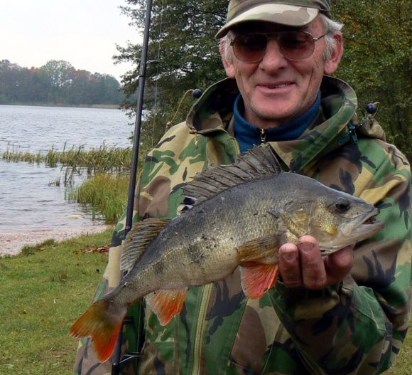 Okoń to piękna i waleczna ryba, dlatego warto się nim zaopiekować - przekonuje Edward Chmielewski. Na zdjęciu: z garbusem o wadze 0,8 kg.