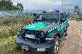 85 nielegalnych migrantów próbowało sforsować granicę polsko - białoruską