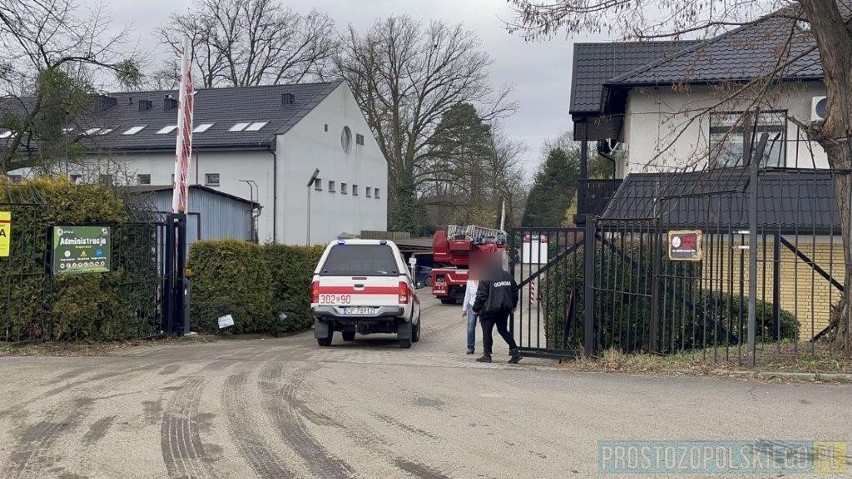 Siedem zastępów straży w opolskim zoo. W szklarni pojawił się ogień. Co ze zwierzętami?