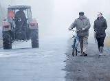 Z Maszewa do Osiecznicy pojedziemy nową drogą