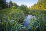 Prognoza pogody na niedzielę i poniedziałek. Może być deszczowo