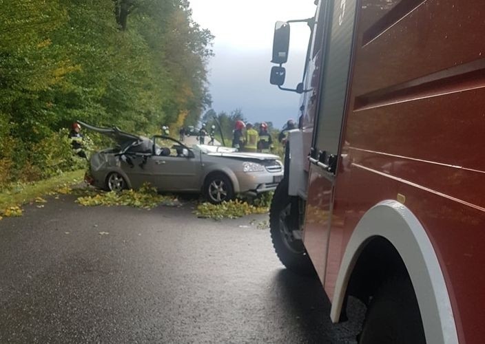 W Nowym Narcie na samochód, którym podróżowały cztery osoby spadło drzewo. Jedna osoba zginęła