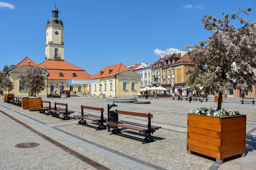 Białystok. Miasto całe w kwiatach. Przed ratuszem będą jabłonie