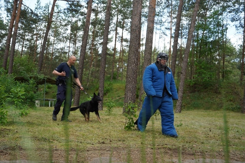 Eliminacje wojewódzkie  XX Kynologicznych Mistrzostw Policji...