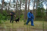 Psy policyjne w akcji... To były zawody czworonogów z Kujawsko-Pomorskiego [zdjęcia]