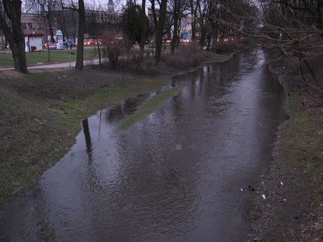 Poziom wody w rzece Białej podniósł się po ostatnich roztopach. Woda rozlała się w okolicach ronda Lussy.