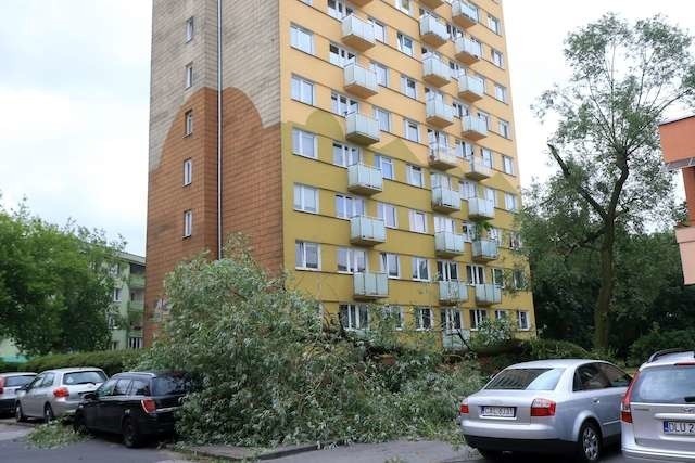 wichura w Toruniu

Gałczyńskiego