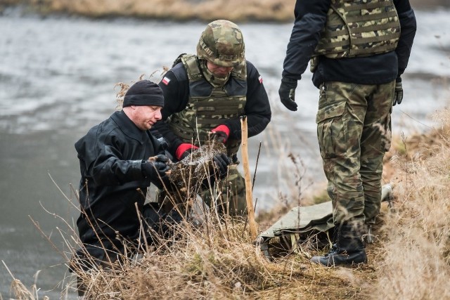 Mieszkaniec wsi Kraszowice w powiecie Bolesławiec, podczas spaceru znalazł w korycie rzeki Bóbr, pociski rakietowe. Sprawą zajęli się zawodowcy, specjaliści saperzy z patrolu rozminowania.Zanim saperzy przybyli na miejsce, niebezpieczne znaleziska zabezpieczyli policjanci z Komisariatu Policji z Kruszyna. Bolesławieccy saperzy z 23 patrolu rozminowania dowodzeni przez st. chor. szt. Radosława Mazura, podjęli 6 pocisków rakietowych typu M-13 do wyrzutni rakiet Katiusza. Podjęte rakiety znajdowały się w pobliżu brzegu rzeki. Pociski pochodziły z okresu II wojny światowej, a pozostawiła je najprawdopodobniej armia radziecka podczas prowadzonych tu walk. Pomimo upływu wielu lat od zakończenia działań wojennych, na terenie Polski zachodniej wciąż znajdowane są niewypały i niewybuchy z tego okresu. W akcji wydobycia pocisków pomogli płetwonurkowie - Patrol, w miejscu nietypowego znaleziska, sprawdził brzeg rzeki Bóbr i wykrył kolejne zalegające pociski. W związku z tym, iż głębokość w tym miejscu to od 1,5 do 3 metrów i ze względu na zachowanie warunków bezpieczeństwa, zostały wezwane dodatkowe siły, płetwonurkowie-saperzy z 8 Flotylli Obrony Wybrzeża ze Świnoujścia. Nasze Patrole współdziałają ze sobą w zakresie wydobycia niewypałów i niewybuchów z głębi jezior i rzek, gdyż tam wciąż tkwi zagrożenie – relacjonuje st. chor. szt. Mazur.Płetwonurkowie przeszukali dokładnie dno rzeki a po rozpoznaniu przedmiotów wybuchowych i niebezpiecznych bezpiecznie wydobyli 17 rakiet na brzeg.Było niebezpiecznie- Z uwagi na to, iż w miejsce znaleziska znajdowało się w zakolu rzeki oraz występował tam silny nurt i niebezpieczne prądy, zagrożenie było duże. Musieliśmy zachować szczególne środki ostrożności – opisuje st. bsm. Michał Jodłoski, dowódca patrolu. Po wydobyciu rakietami zajęli się saperzy z Bolesławca, którzy przewieźli wyłowione rakiety na poligon w Świętoszowie, a następnie je zdetonowali.- Apeluję do mieszkańców, aby w przypadku wykrycia podobnych materiałów, w żadnym razie nie dotykać ich i nie podnosić. Należy oznaczyć miejsce znaleziska i jak najszybciej powiadomić policję, która zabezpieczy teren i wezwie patrol saperski –  podkreślił st. chor. szt. Mazur.Niewybuchy to wciąż duży i niebezpieczny problemNiezmiennie każdego roku żołnierze-saperzy z patrolów rozminowania Czarnej Dywizji w odpowiedzi na zgłoszenia, dotyczące „niewybuchów” wykonują liczne zadania związane z interwencyjnym oczyszczaniem terenu. W samym 2017 roku interweniowali blisko 360 razy, podejmując i niszcząc znaczne ilości różnego typu przedmioty wybuchowe i niebezpiecznych.Autor: mjr Artur Pinkowski, oprac. (pik)POLECAMY PAŃSTWA UWADZE: 