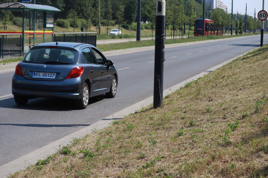 Łódź: Kosić czy nie kosić? Jak co roku w Łodzi toczy się spór o pielęgnację trawników