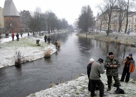 Wędkarze nad Słupią