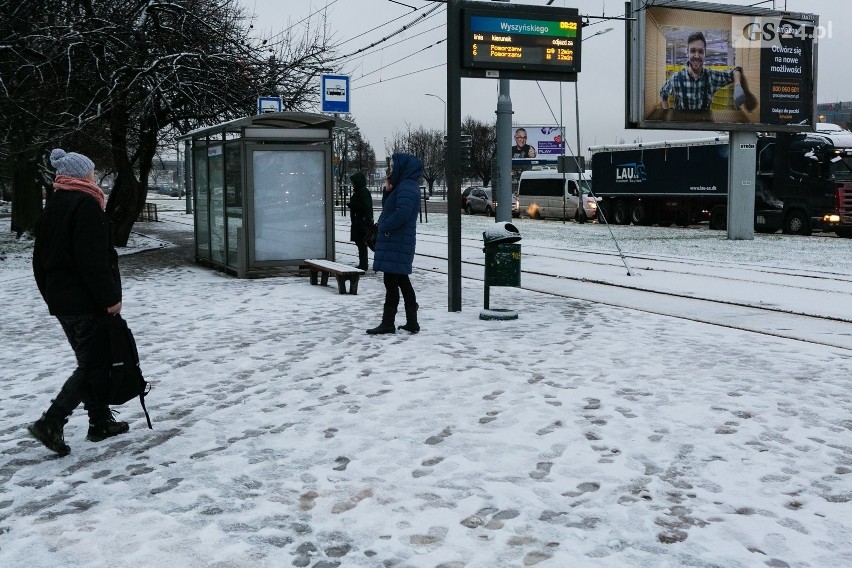 POGODA w Szczecinie i regionie. Idzie zima, ma być mroźno. Czy spadnie śnieg? [PROGNOZA POGODY] 