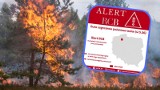 Susza na Pomorzu. Uwaga na pożary! Jest alert RCB. Zachowaj ostrożność i nie używaj otwartego ognia w lesie - informuje Rządowe Centrum