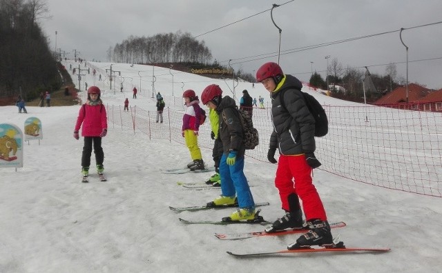 Uczniowie z Pionek aktywnie spędzali ferie. 40-osobowa grupa brała udział w lekcjach jazdy na nartach w Bałtowie.