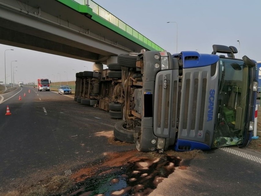 Wypadek na S61. Ciężarówka przewożąca drewno przewróciła się i zablokowała pas. Jedna osoba ranna [ZDJĘCIA]