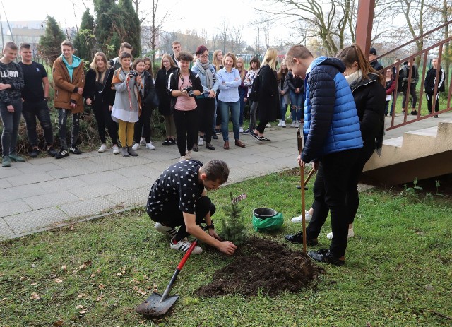 Uczniowie z XII Liceum Ogólnokształcącego posadzili symboliczne drzewko, apelując o poszanowanie przyrody.