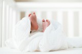Zwłoki czterech noworodków w zamrażarce w USA. Prokurator nie wniesie zarzutów