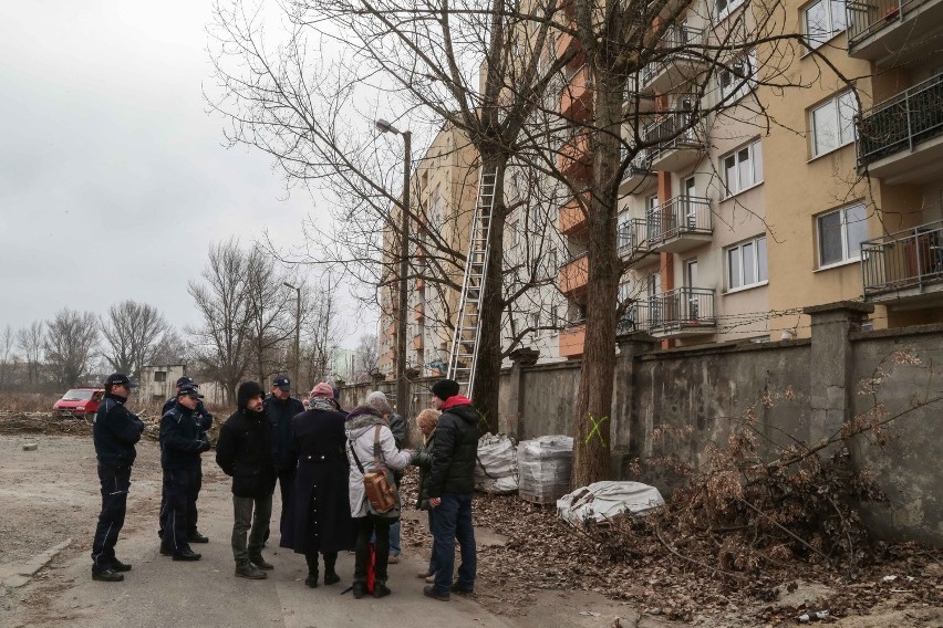 Mieszkańcy protestowali przeciwko wycięciu dwóch kolejnych...